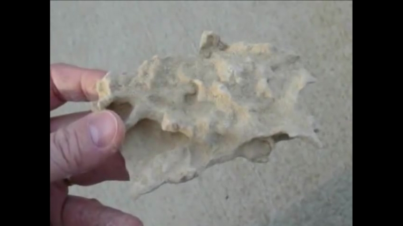 Archaeology Proof - Sodom Gomorrah
