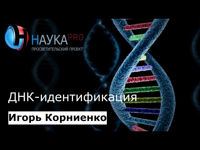 Игорь Корниенко - ДНК-идентификация