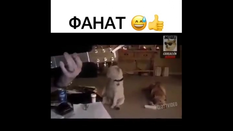 коли почув улюблену пісню