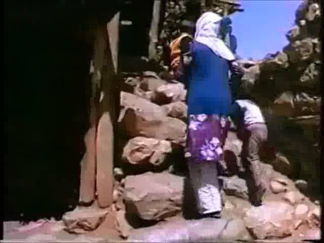 Delil Xıdır Sewda Ma Kaykena