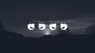Barnacle boi - interlude
