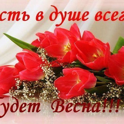 Открытки цветы для женщины скачать бесплатно