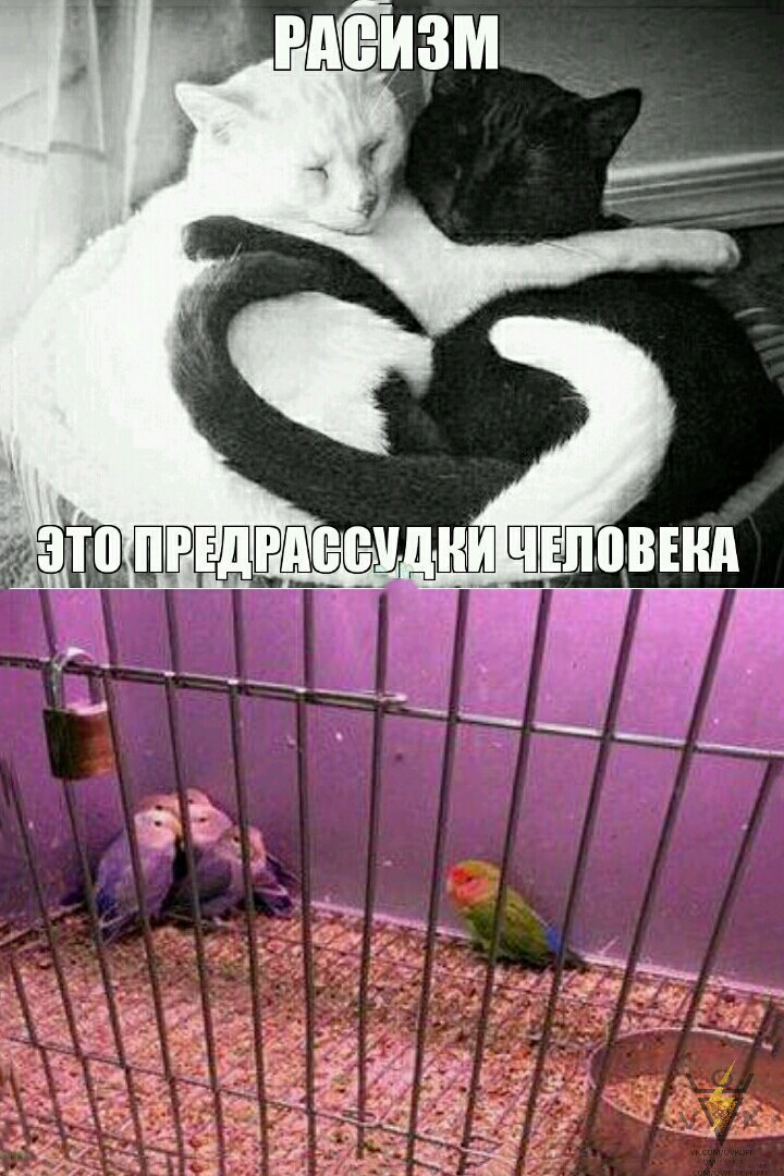 2T6HIyzU_bI.jpg