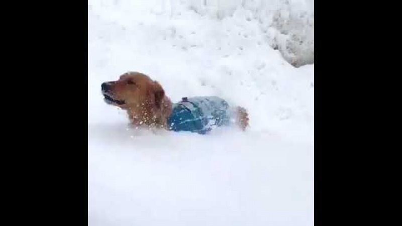 Nieve en Barcelona