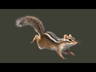 Houdini hair Demo Reel