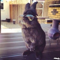 Максим Шаев