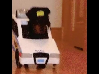 стоять Руки вверх