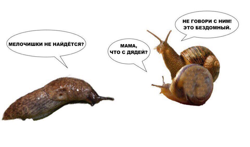 WFSUxuQT_UA.jpg