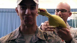 Funny police try not to laugh fails, to pass the chicken test funny video,2018
