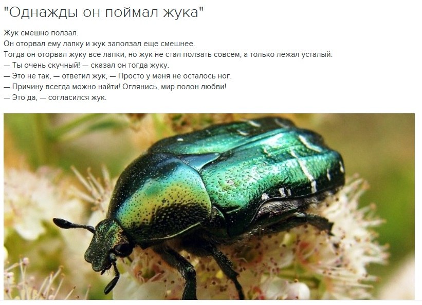 JvZTljjIMKs.jpg