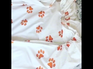 Place.itBZsyYRnDi1X.mp4