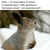 Фото пользователя Ольга