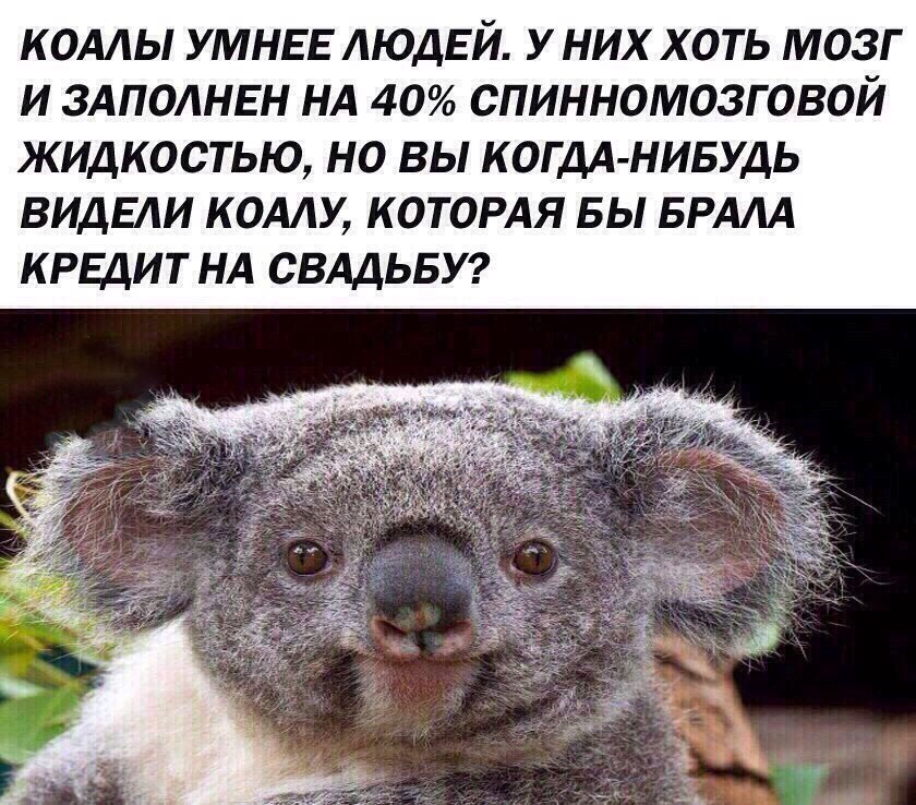 OrtdCmYAcEs.jpg