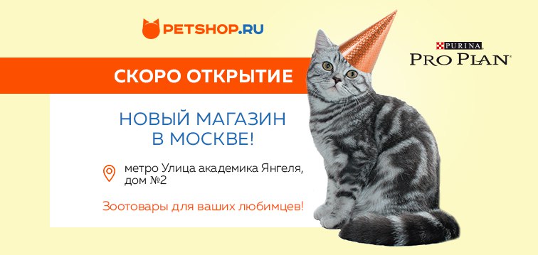 Интернет Магазин Петшоп Зоотовары