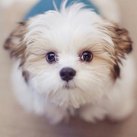 Таня Симонова | 