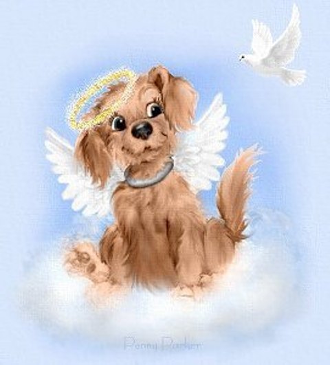 Ангел собака рисунок