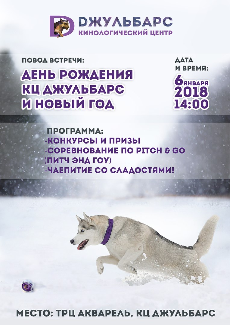 Афиша Волгоград День Рождения КЦ Джульбарс