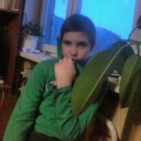 Вова Маликов |