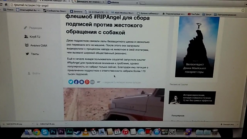 Ripangel ответ