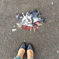 Наташа Мигаль