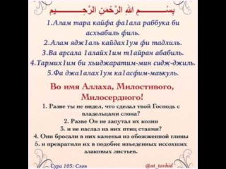 ТРАНСКРИПЦИЯ КОРАНА РУССКИМИ БУКВАМИ СКАЧАТЬ БЕСПЛАТНО ТРАНСКРИПЦИЯ КОРАНА РУССКИМИ БУКВАМИ СКАЧАТЬ БЕСПЛАТНО