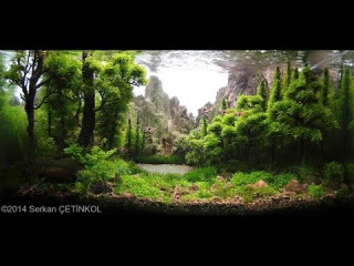 2014 AGA International Aquascaping Contest ( ALL AQUARIUMS)