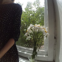 İris Iris