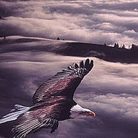 Роман Стерх