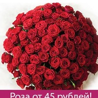 Елена Иванова