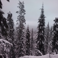 Помешанный Экстримал  Малыш