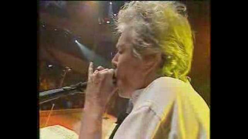 Old Time Rock and Roll-Status Quo