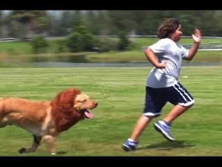 Videos De Bromas 2016 - videos engraçados para rir - videos chistoso - videos de risa p6