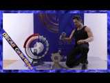 Обзор фигурки Hot Toys