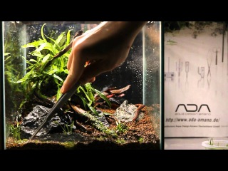 Easy Aquascaping - Do!aqua Cube 25x25x25 - Step by Step