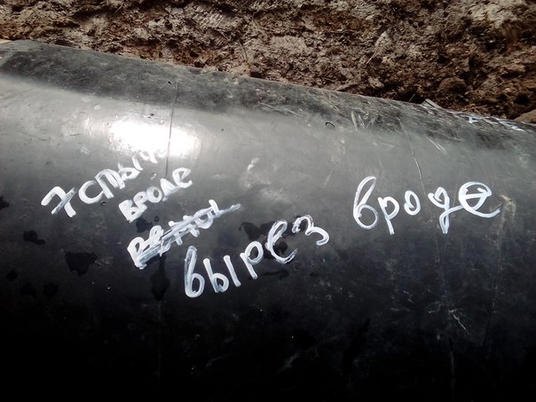 День дефектоскописта