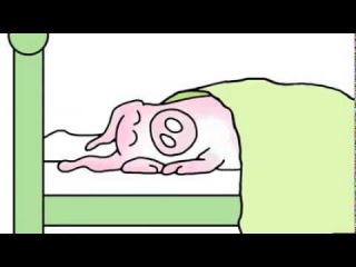 Sandra Boynton's WHEN PIGS FLY sung by Ryan Adams (animation - Official Music Video)
