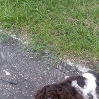 Анюта Кузьмина | Нижний Новгород