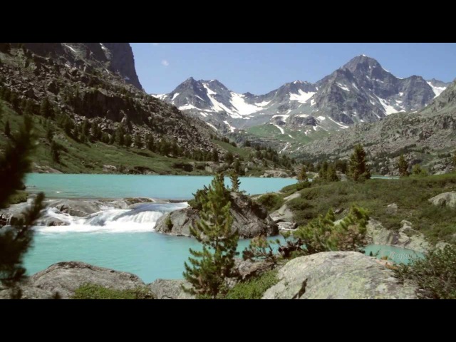 Altai Nature Reserve