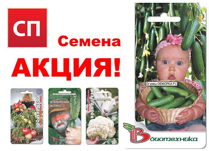 Магазин Семян Биотехника В Москве