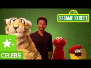 Sesame Street: Benjamin Bratt and Elmo translate for a Tiger
