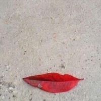 Светлана Одинокая