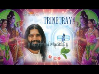 Om Namah Shivay From Popular Art of Living Bhajans by Rishi Nitya Pragya