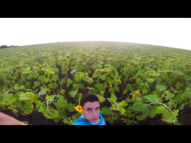 $ingвлог 16 Paradise