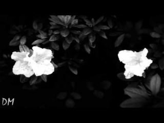 Orsten - Fleur Blanche (Hotel Costes Vol.10)