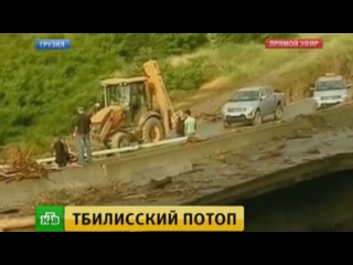 В затопленном Тбилиси нашли беглых пингвинов и гиену