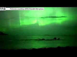 Whales bask under Northern Lights in Norway