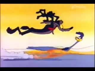Roadrunner and Coyote Cartoons Full Episodes Compilation 2