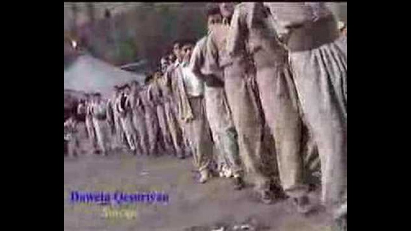 HAKKARİ hozan Rıfat sincane