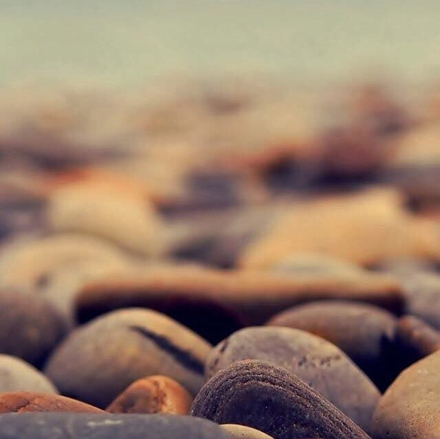 Полина Негодова