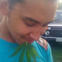 Эдик Legion  ▂ ▃ ▄ ▆ 100%